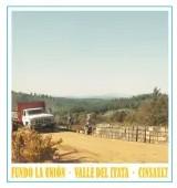 Roberto Henriquez - Cinsault Fundo La Union 2021 (750)