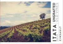 Ungrafted - Cinsault 2024 (750ml) (750ml)