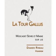Domaine Gorges - Damien Rinaud - La Tour Gallus Muscadet 2020 (750ml) (750ml)